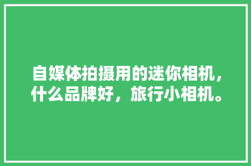 自媒体拍摄用的迷你相机，什么品牌好，旅行小相机。