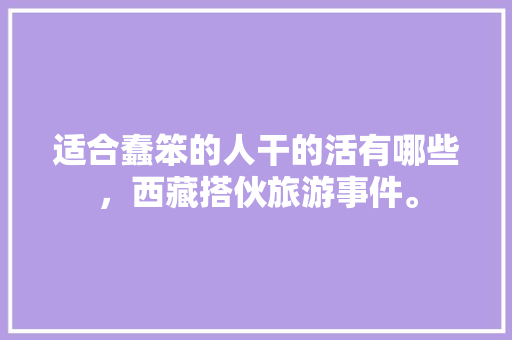 适合蠢笨的人干的活有哪些，西藏搭伙旅游事件。