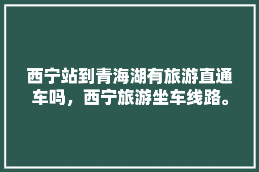 西宁站到青海湖有旅游直通车吗，西宁旅游坐车线路。