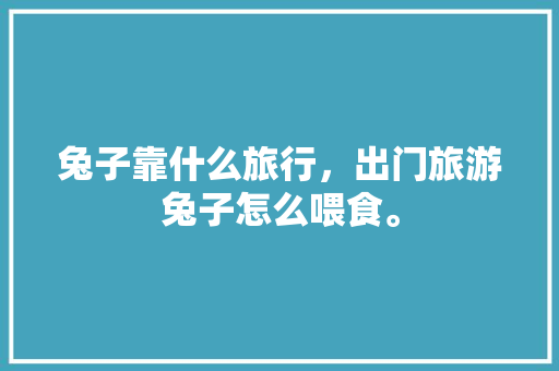 兔子靠什么旅行，出门旅游兔子怎么喂食。  第1张