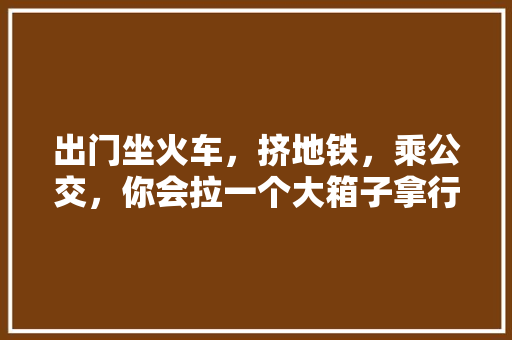 出门坐火车，挤地铁，乘公交，你会拉一个大箱子拿行李吗，旅游拿行李箱和背包哪个方便。