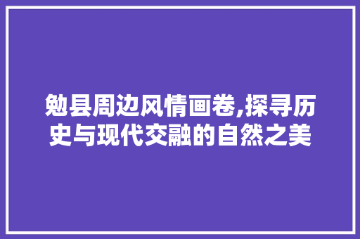 勉县周边风情画卷,探寻历史与现代交融的自然之美