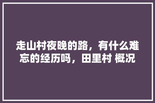 走山村夜晚的路，有什么难忘的经历吗，田里村 概况。