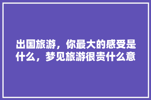 出国旅游，你最大的感受是什么，梦见旅游很贵什么意思。