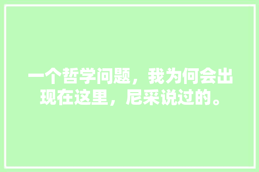 一个哲学问题，我为何会出现在这里，尼采说过的。