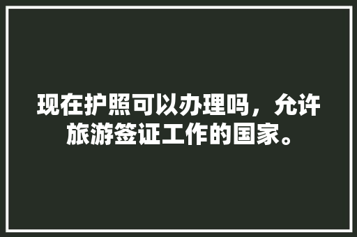 现在护照可以办理吗，允许旅游签证工作的国家。