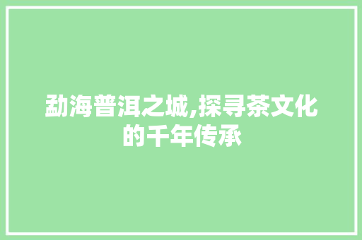 勐海普洱之城,探寻茶文化的千年传承