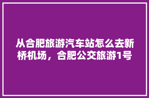 从合肥旅游汽车站怎么去新桥机场，合肥公交旅游1号线线路图。