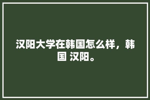 汉阳大学在韩国怎么样，韩国 汉阳。