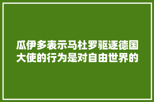 瓜伊多表示马杜罗驱逐德国大使的行为是对自由世界的挑衅；该如何看待其这番言论，旅游逃避。