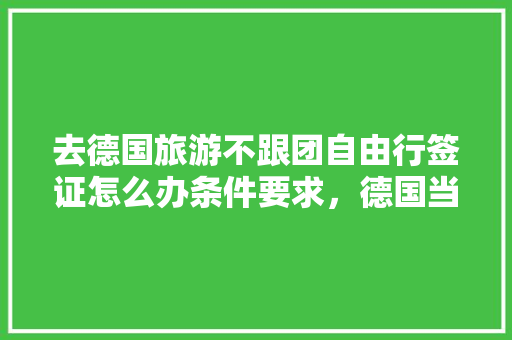 去德国旅游不跟团自由行签证怎么办条件要求，德国当地旅游团。