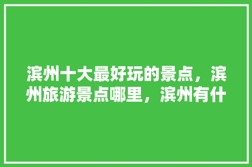 滨州十大最好玩的景点，滨州旅游景点哪里，滨州有什么旅游景点好玩。