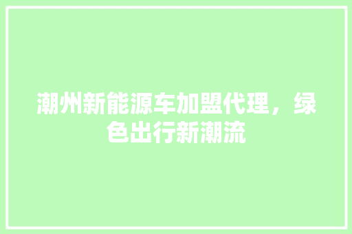 潮州新能源车加盟代理，绿色出行新潮流