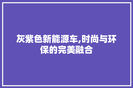 灰紫色新能源车,时尚与环保的完美融合