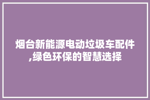 烟台新能源电动垃圾车配件,绿色环保的智慧选择