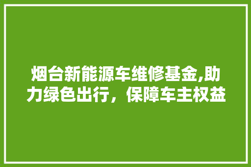 烟台新能源车维修基金,助力绿色出行，保障车主权益