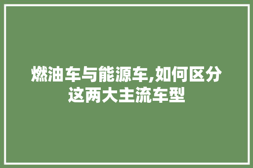 燃油车与能源车,如何区分这两大主流车型