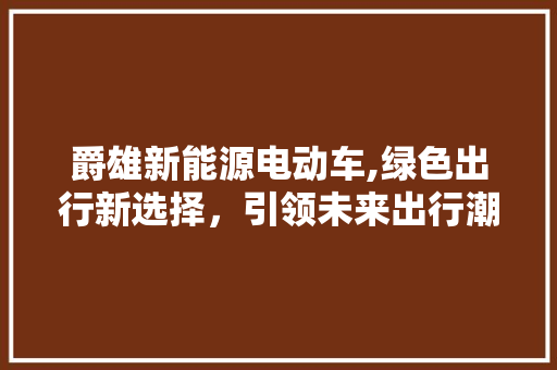 爵雄新能源电动车,绿色出行新选择，引领未来出行潮流