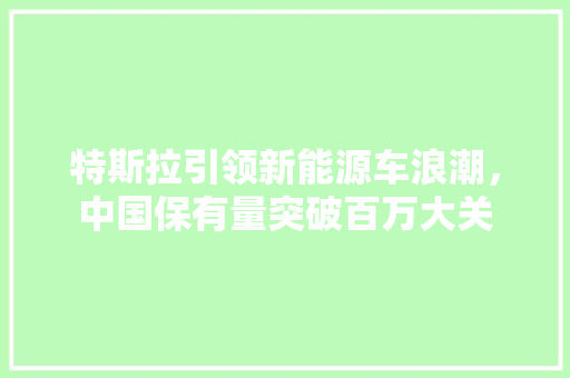 特斯拉引领新能源车浪潮，中国保有量突破百万大关