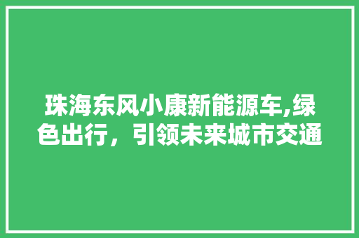 珠海东风小康新能源车,绿色出行，引领未来城市交通新潮流  第1张