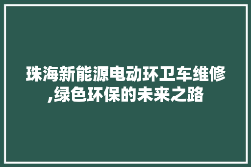 珠海新能源电动环卫车维修,绿色环保的未来之路