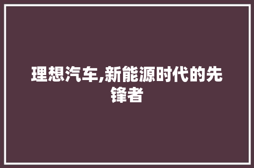 理想汽车,新能源时代的先锋者