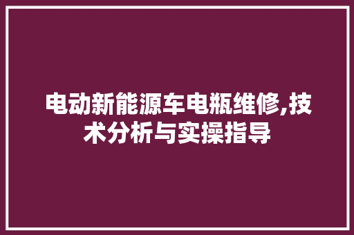 电动新能源车电瓶维修,技术分析与实操指导