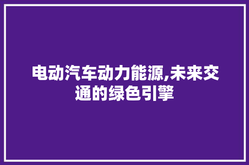 电动汽车动力能源,未来交通的绿色引擎