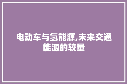 电动车与氢能源,未来交通能源的较量