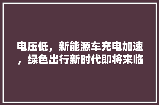 电压低，新能源车充电加速，绿色出行新时代即将来临