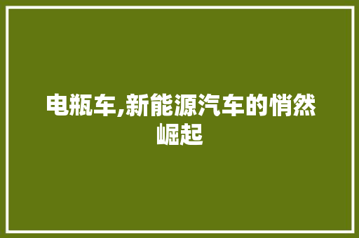 电瓶车,新能源汽车的悄然崛起