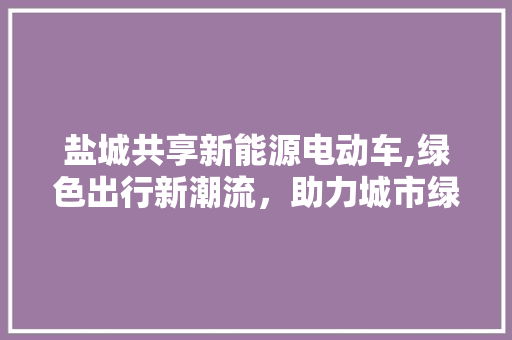 盐城共享新能源电动车,绿色出行新潮流，助力城市绿色发展