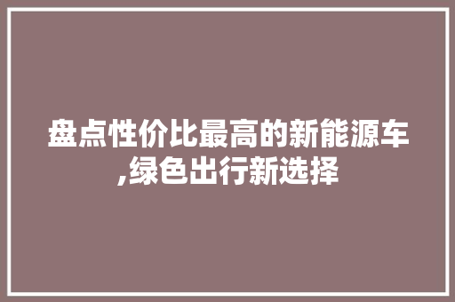 盘点性价比最高的新能源车,绿色出行新选择