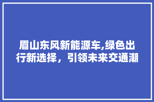 眉山东风新能源车,绿色出行新选择，引领未来交通潮流