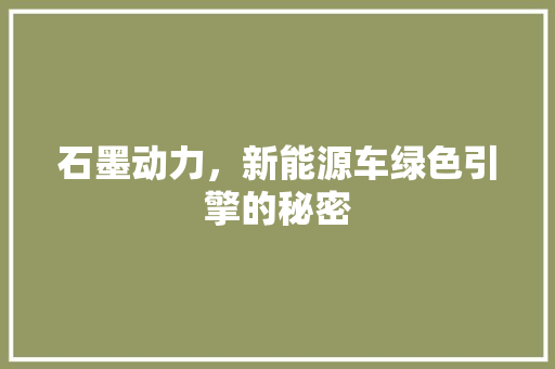 石墨动力，新能源车绿色引擎的秘密