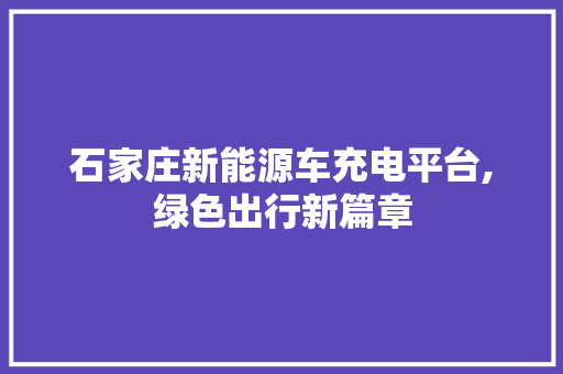 石家庄新能源车充电平台,绿色出行新篇章