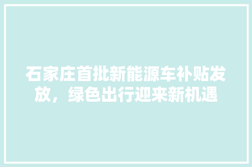 石家庄首批新能源车补贴发放，绿色出行迎来新机遇