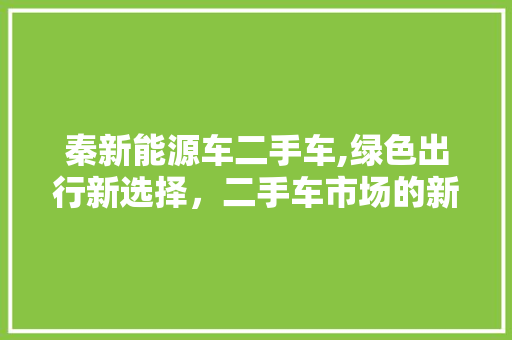 秦新能源车二手车,绿色出行新选择，二手车市场的新宠儿