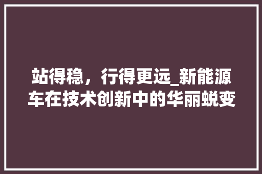 站得稳，行得更远_新能源车在技术创新中的华丽蜕变