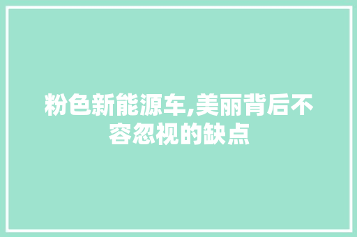 粉色新能源车,美丽背后不容忽视的缺点