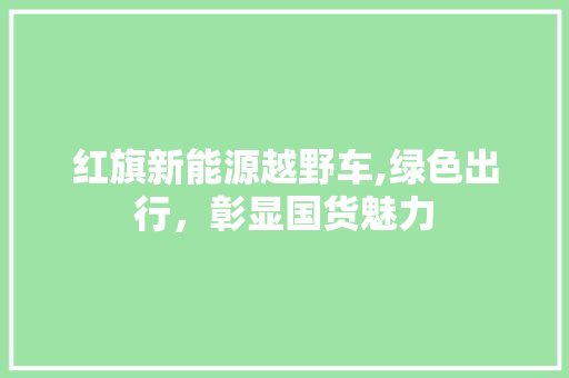 红旗新能源越野车,绿色出行，彰显国货魅力