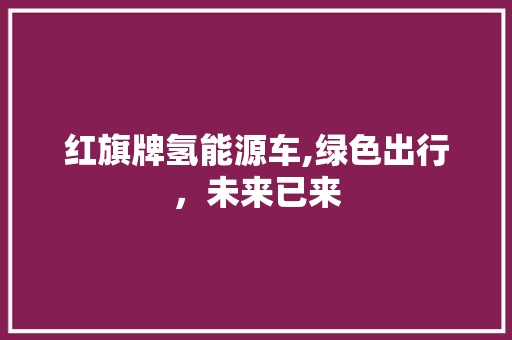 红旗牌氢能源车,绿色出行，未来已来