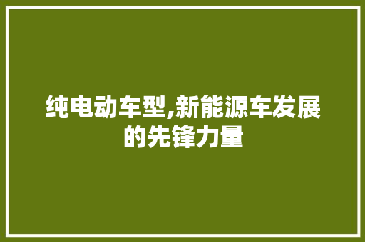 纯电动车型,新能源车发展的先锋力量