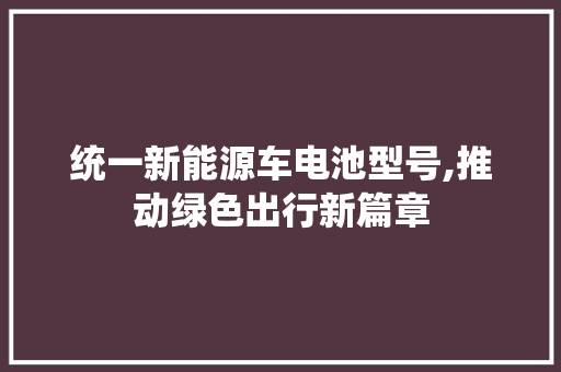 统一新能源车电池型号,推动绿色出行新篇章