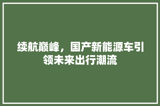 续航巅峰，国产新能源车引领未来出行潮流