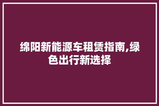 绵阳新能源车租赁指南,绿色出行新选择  第1张