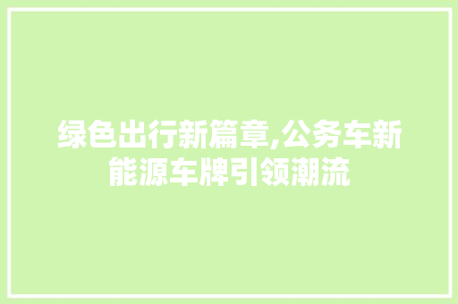 绿色出行新篇章,公务车新能源车牌引领潮流