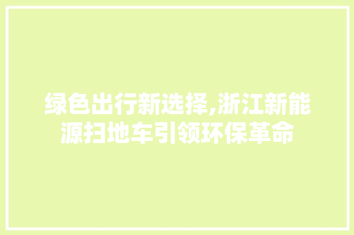 绿色出行新选择,浙江新能源扫地车引领环保革命