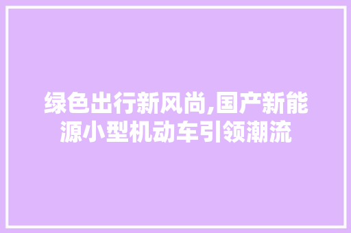 绿色出行新风尚,国产新能源小型机动车引领潮流