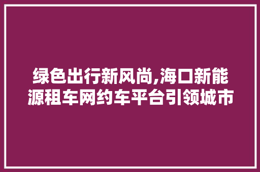 绿色出行新风尚,海口新能源租车网约车平台引领城市交通变革